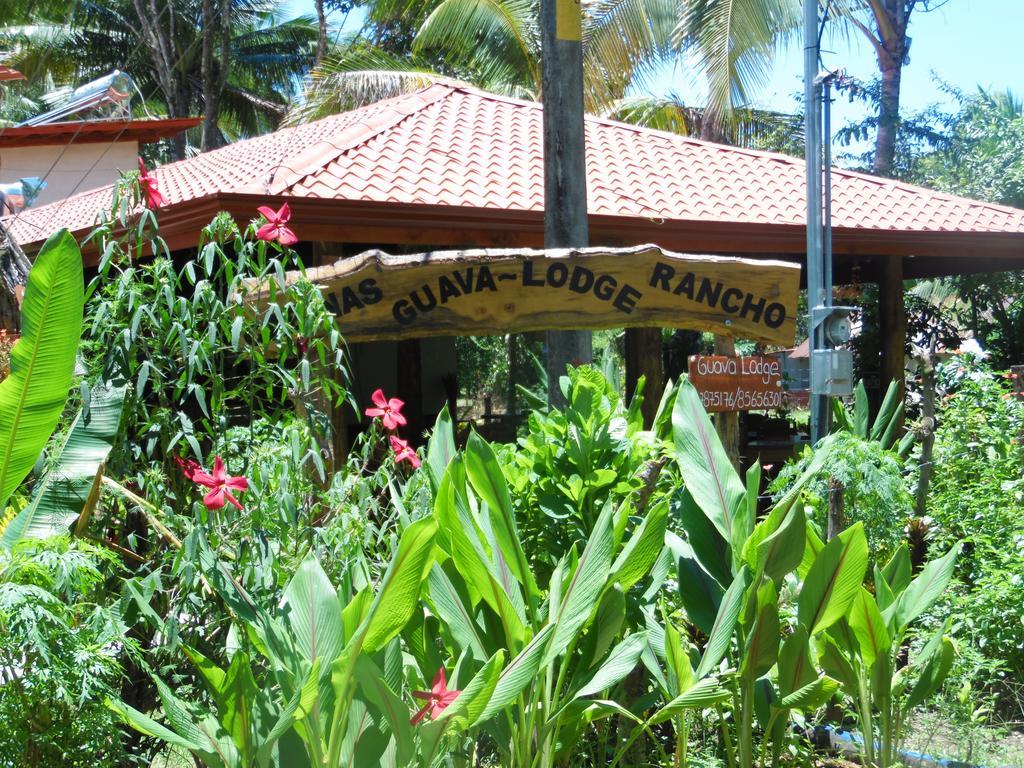Guava Lodge Playa Matapalo Exteriör bild
