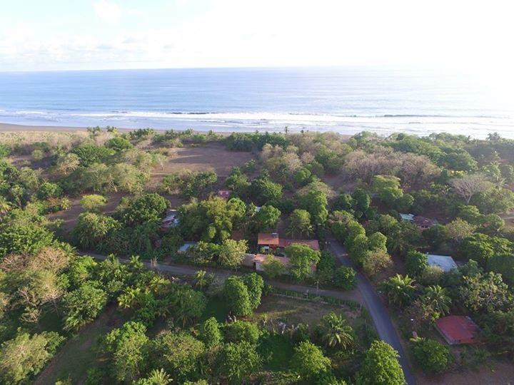 Guava Lodge Playa Matapalo Exteriör bild