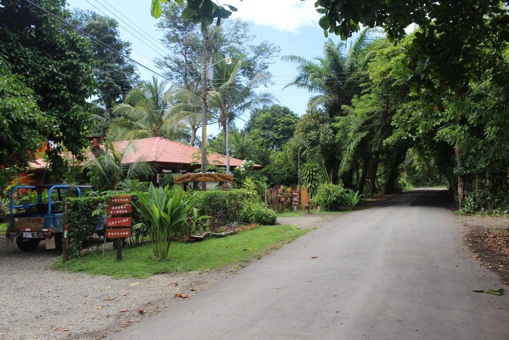 Guava Lodge Playa Matapalo Exteriör bild