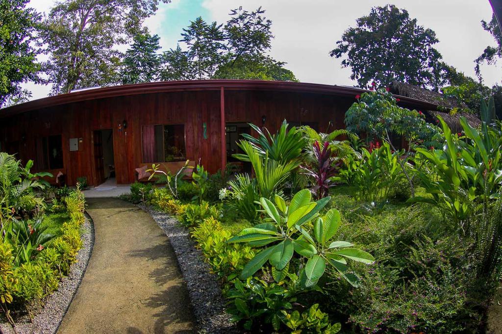 Guava Lodge Playa Matapalo Exteriör bild